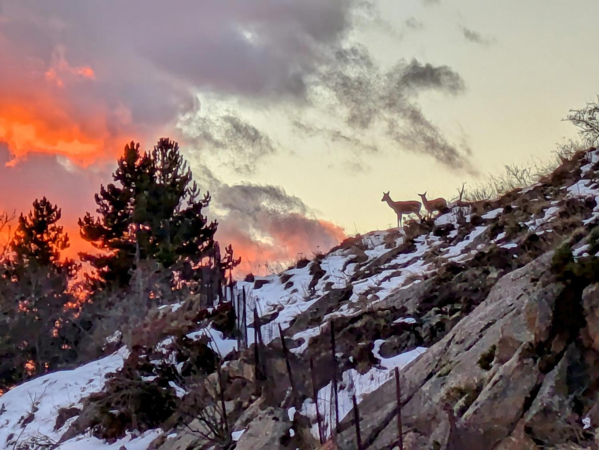 Le Ptit Cocon Leilighet Font-Romeu-Odeillo-Via Eksteriør bilde